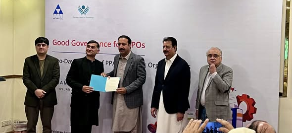 Strengthening Organizational Governance and Accountability